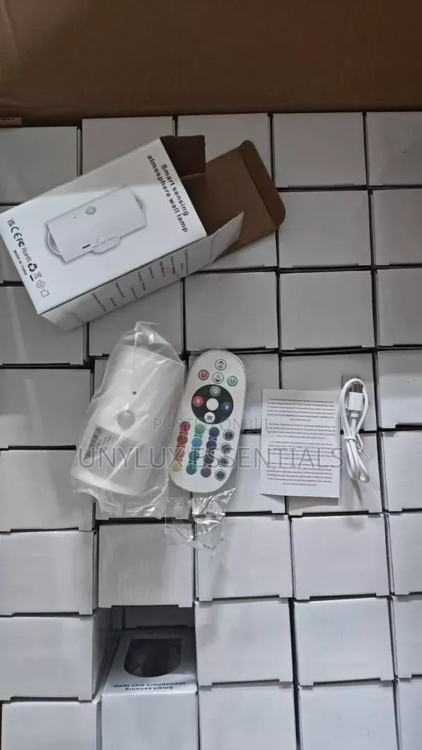 Smart Sensing Wall Lamp With Remote Control