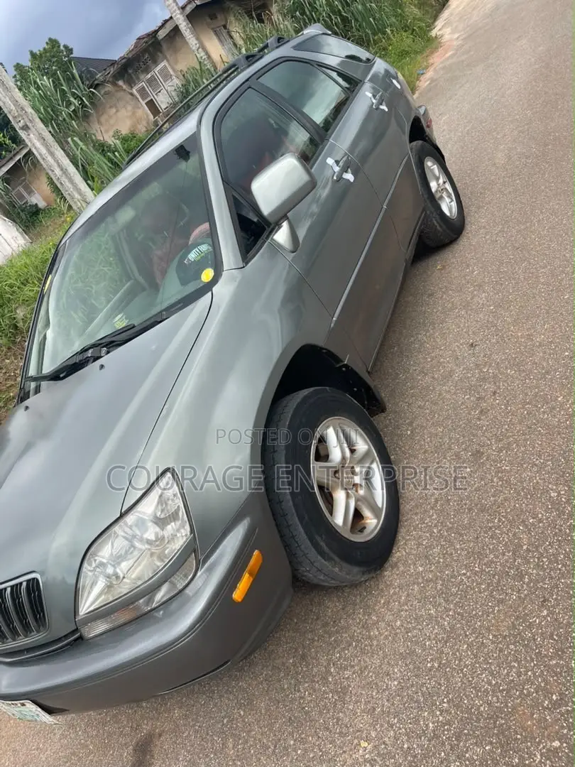 Lexus RX 2000 Gray