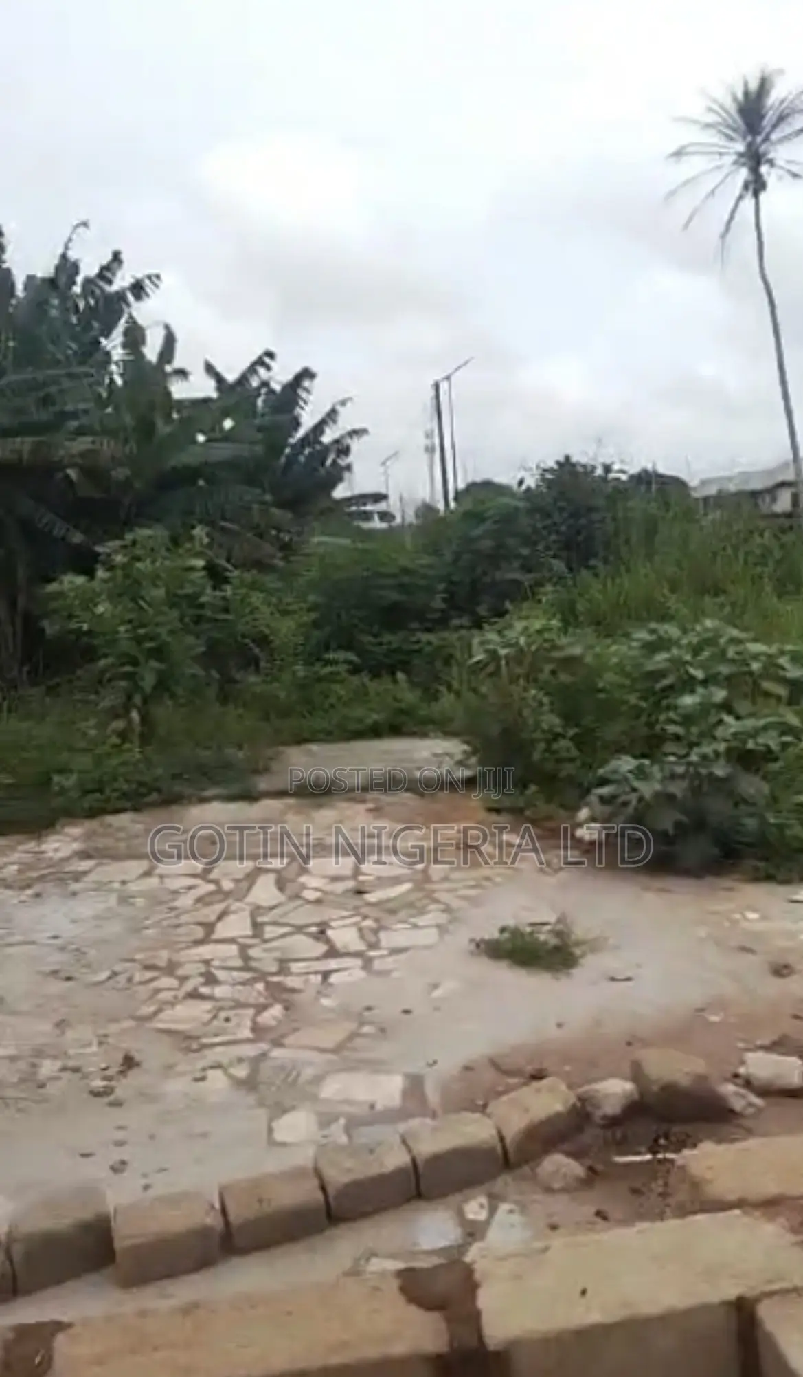 50×100ft Land for Sale Behind St. Patrick Catholic Church, Ugbowo