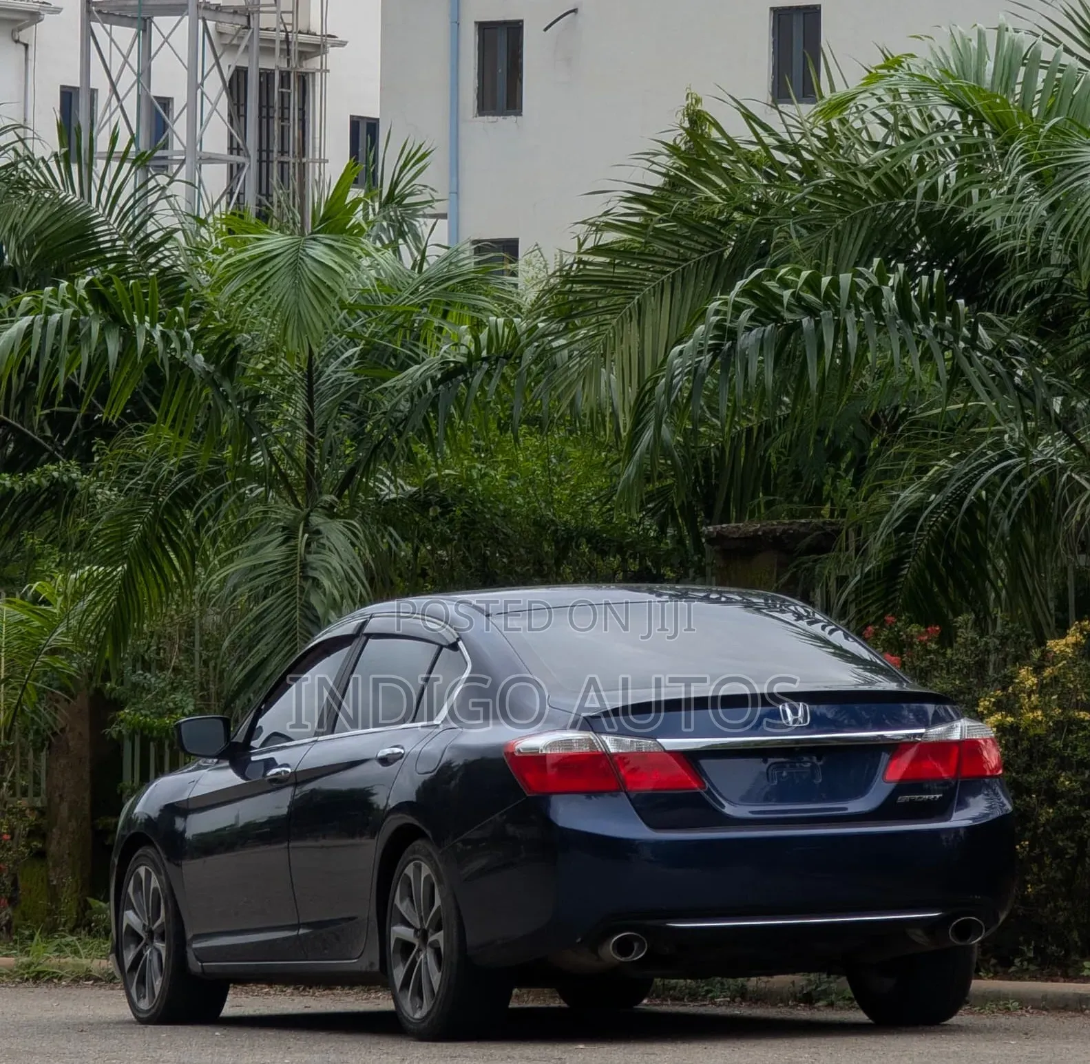 Honda Accord Sport 4dr Sedan (2.4L 4cyl 6M) 2014 Blue