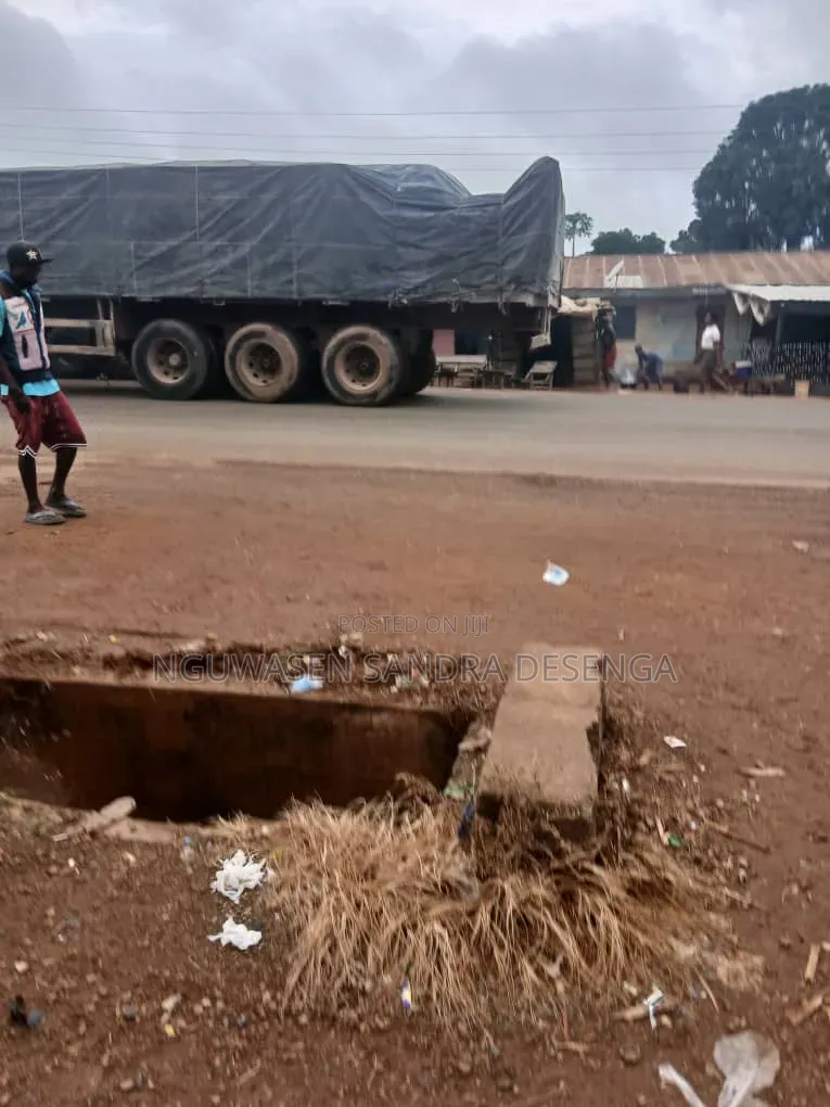 Latest Delivery of Dangote and Bua Cement Nationwide