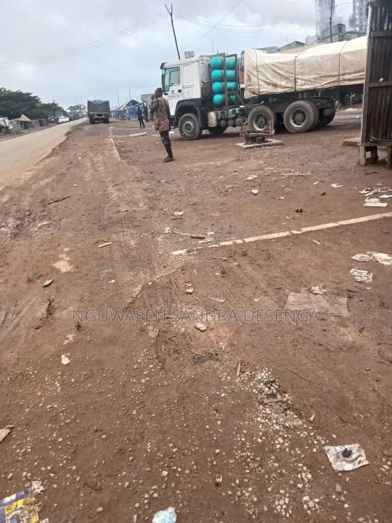 Latest Delivery of Dangote and Bua Cement Nationwide
