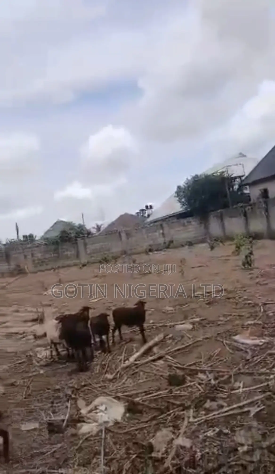 Fenced 100×100ft Land With Security House at Okabere