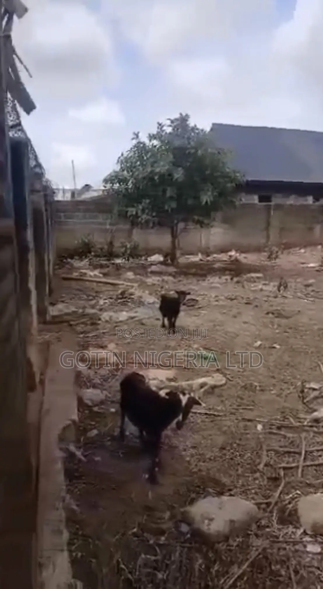 Fenced 100×100ft Land With Security House at Okabere