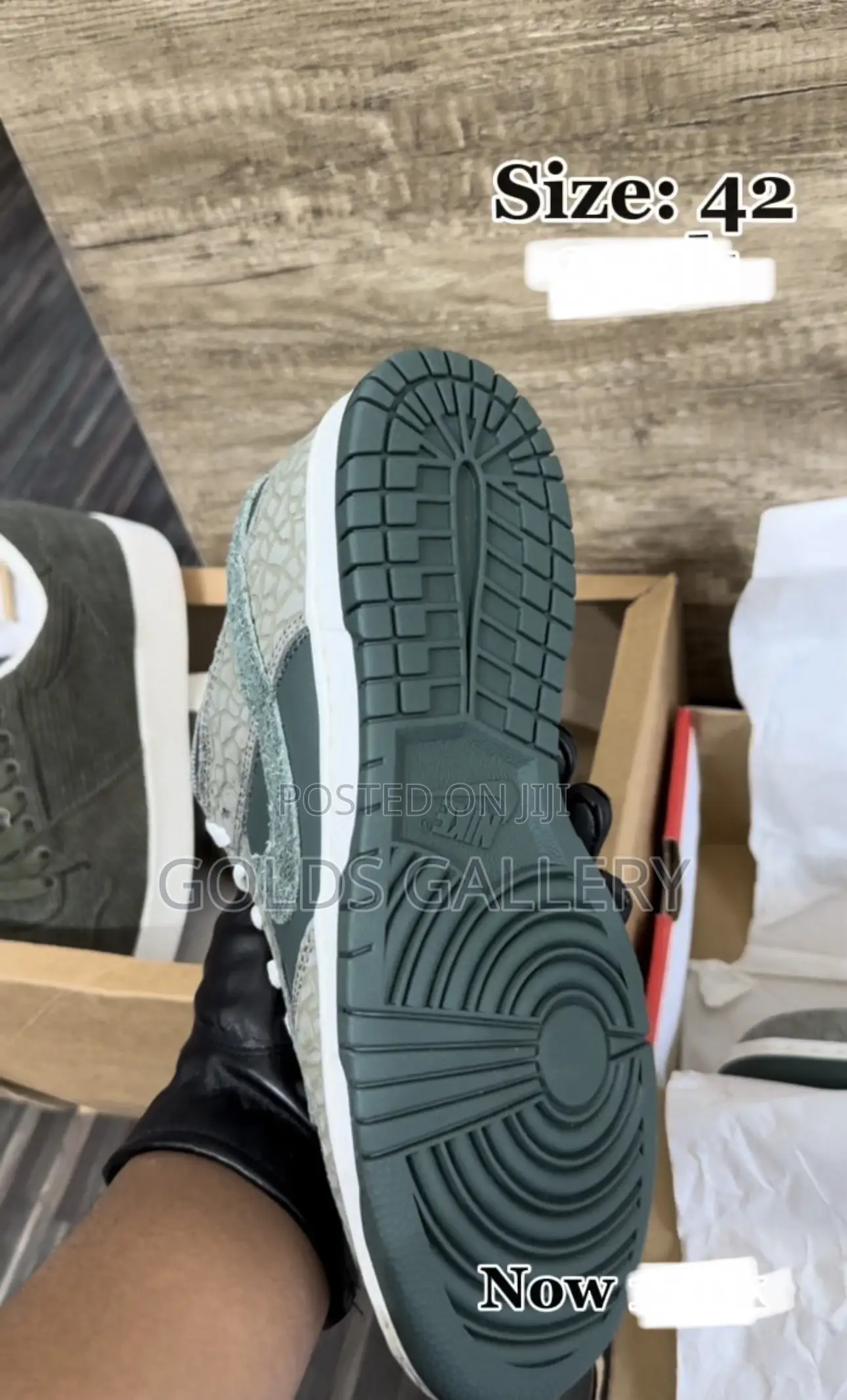 2024 Dunk Low Premium 'Urban Landscape 2.0' (USA)