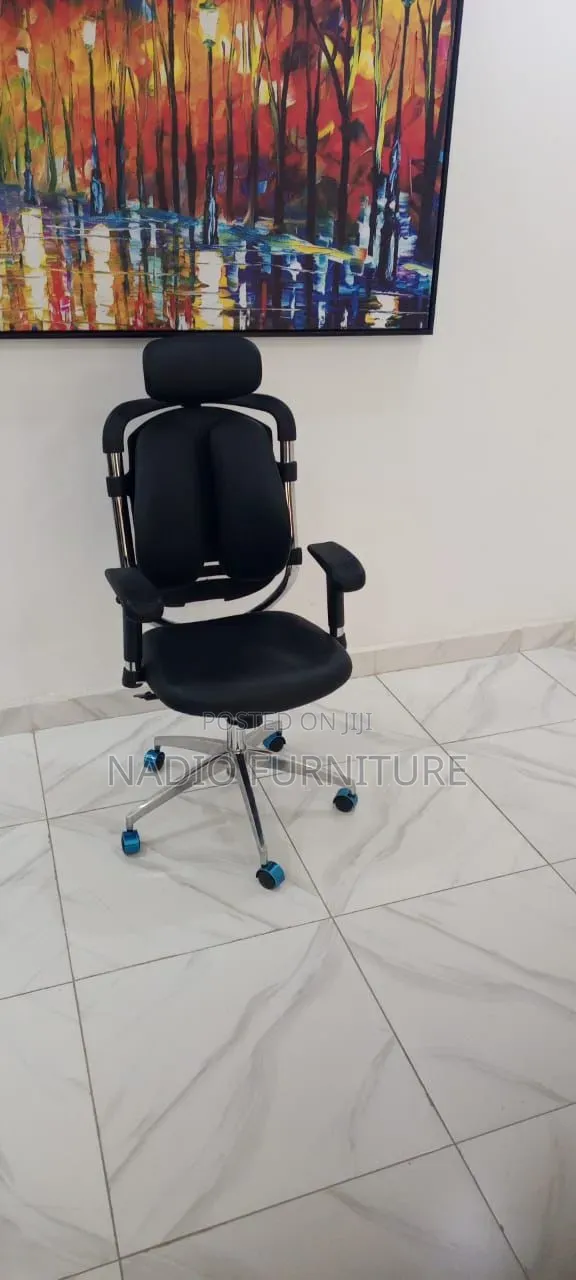 Luxury Kidney Chair