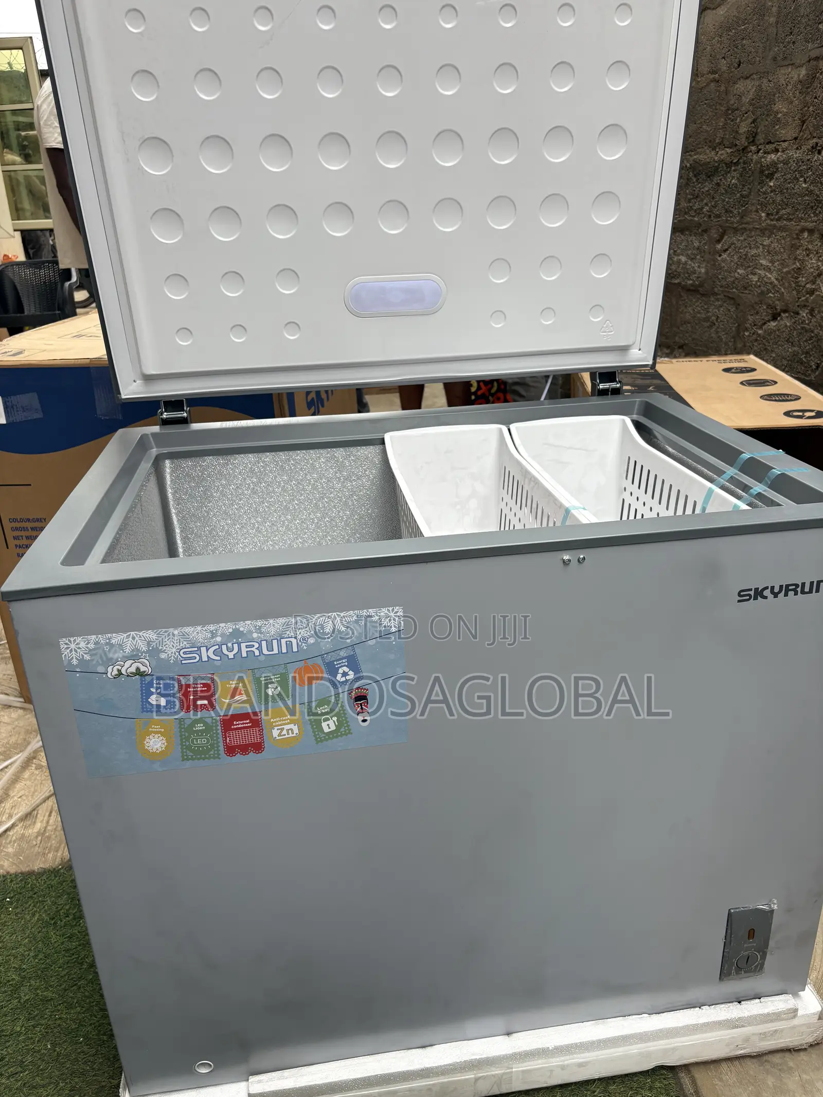 SkyRun BD-260A Freezer for Frozen Stock