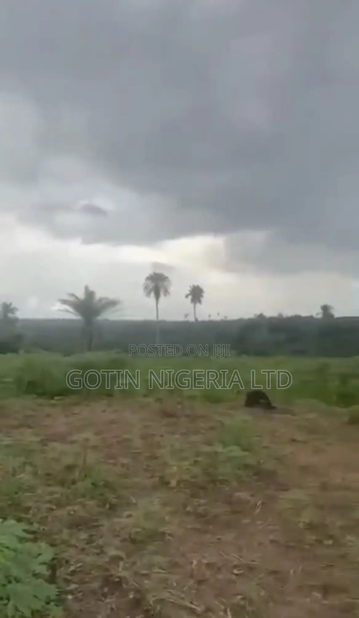 50×100ft Dry Land for Sale at Efosa, Ugbowo