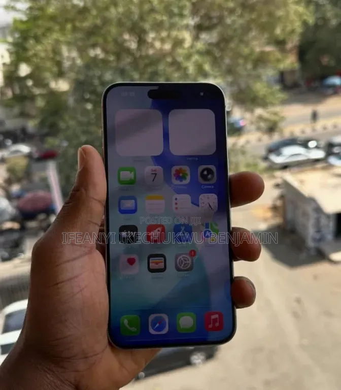 Apple iPhone 15 Pro Max 256 GB Gray