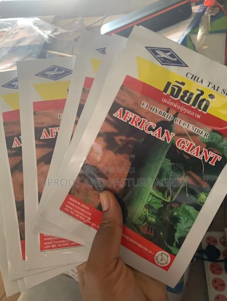 African Giant Cucumber 50 Gr