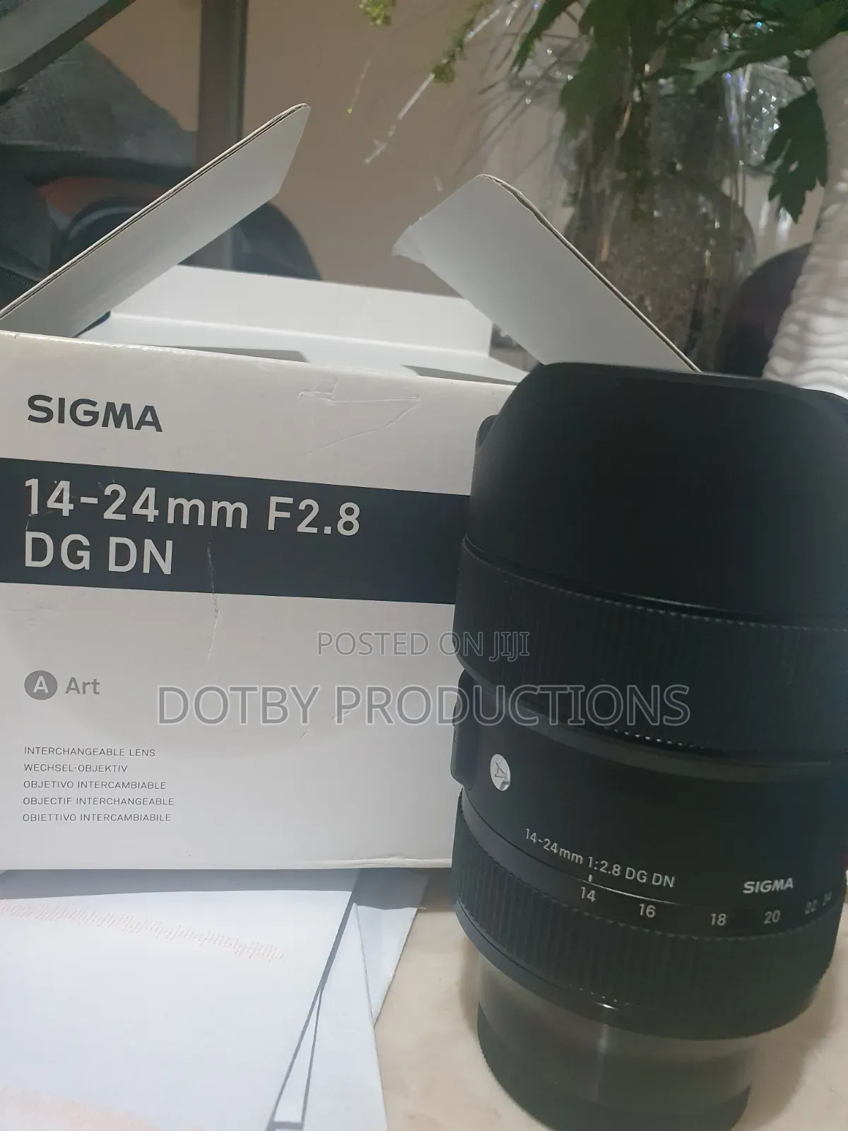 Sigma 14-24mm F2.8 Dg Dn Sony E