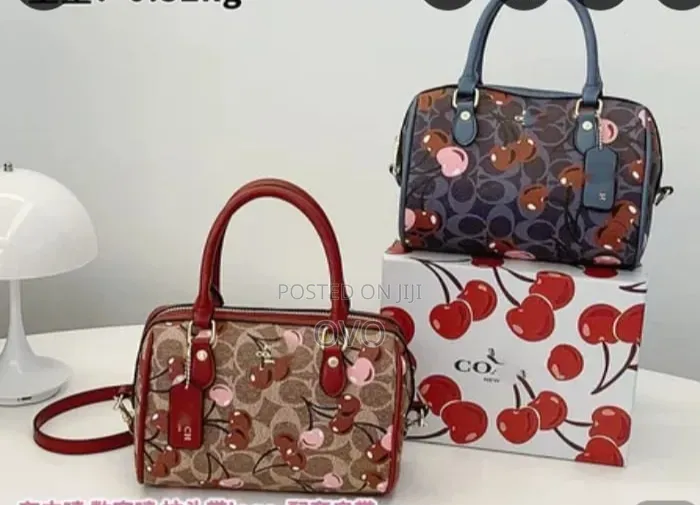 Coach Bag Fully Box