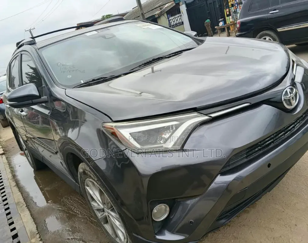 Toyota RAV4 2017 Gray