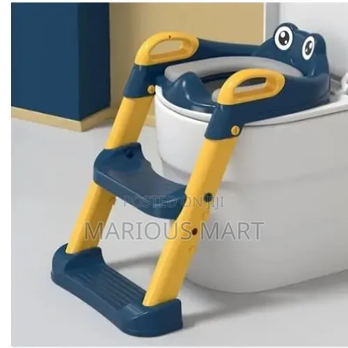 Kids Multifunctional Potty/Toilet Seat