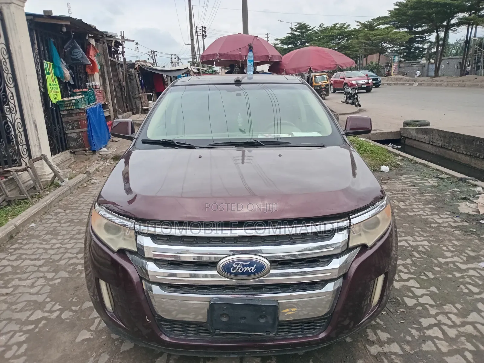 Ford Edge 2010 Purple