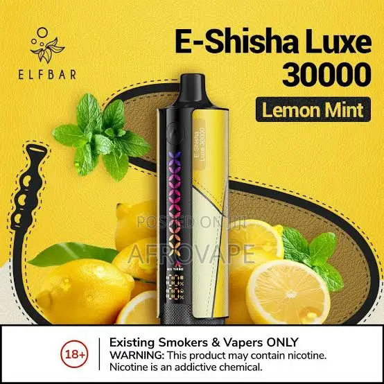 ELFBAR E-Shisha Luxe 30,000 Puffs Disposable Vape – Retail Wholesale