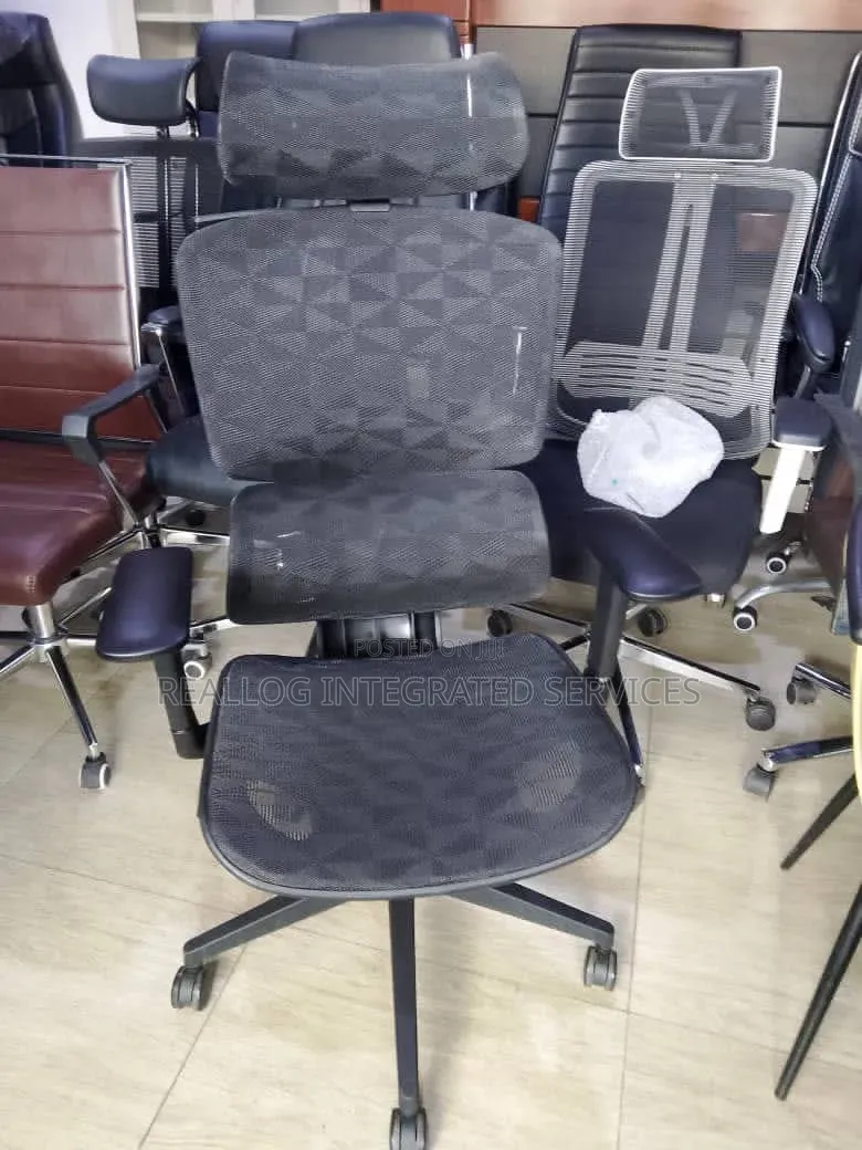 Executive Ergonomic Office Chair