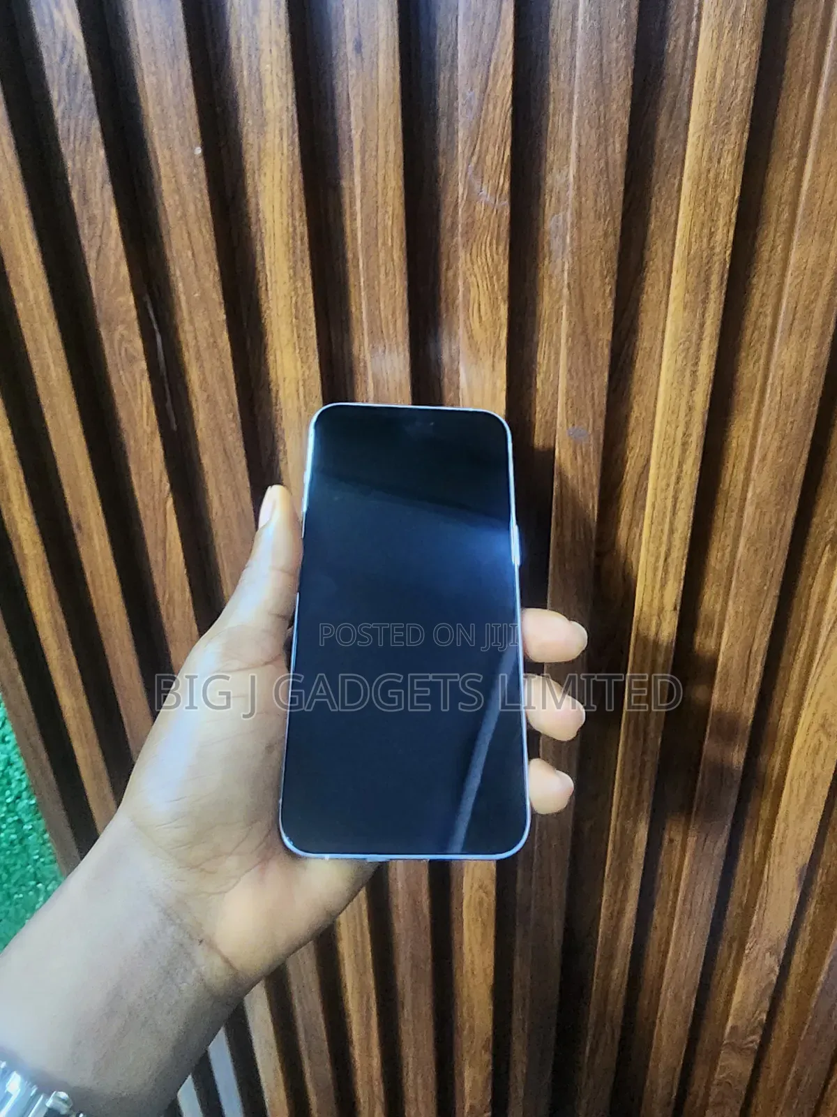 Apple iPhone 15 Pro Max 256 GB Silver