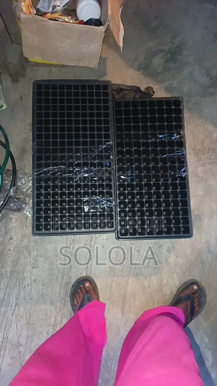 Seedling Tray