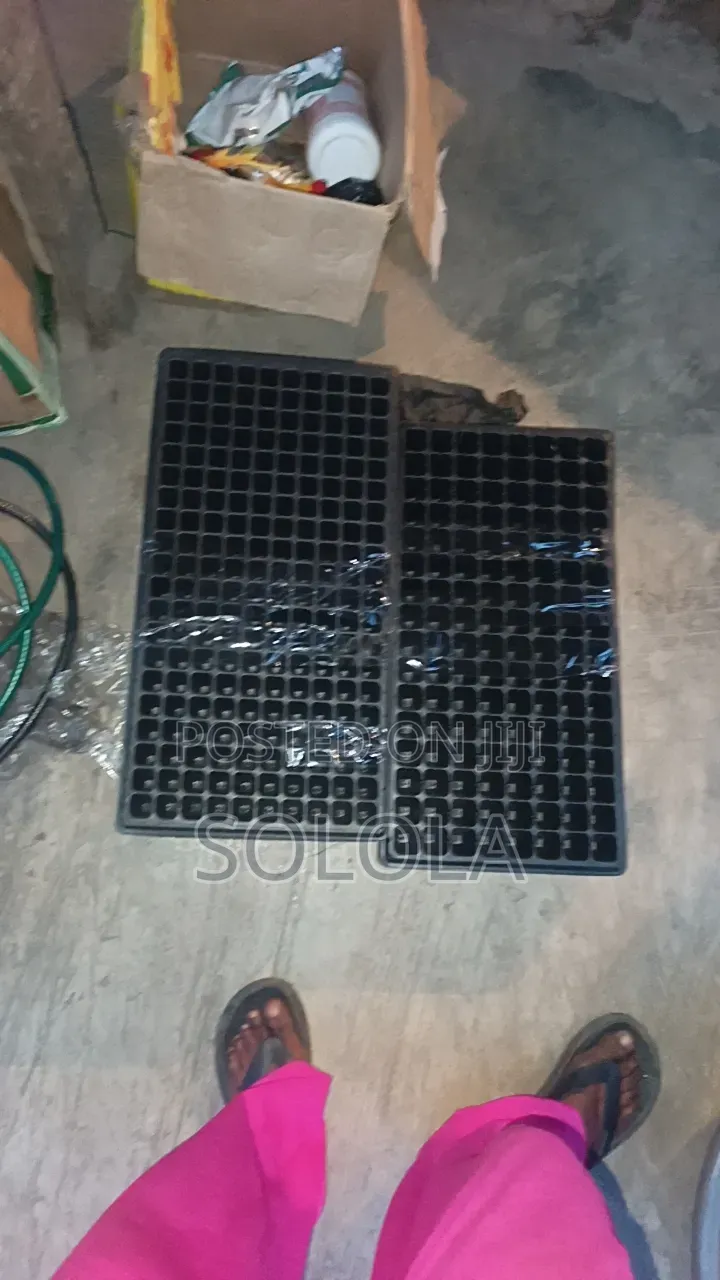 Seedling Tray