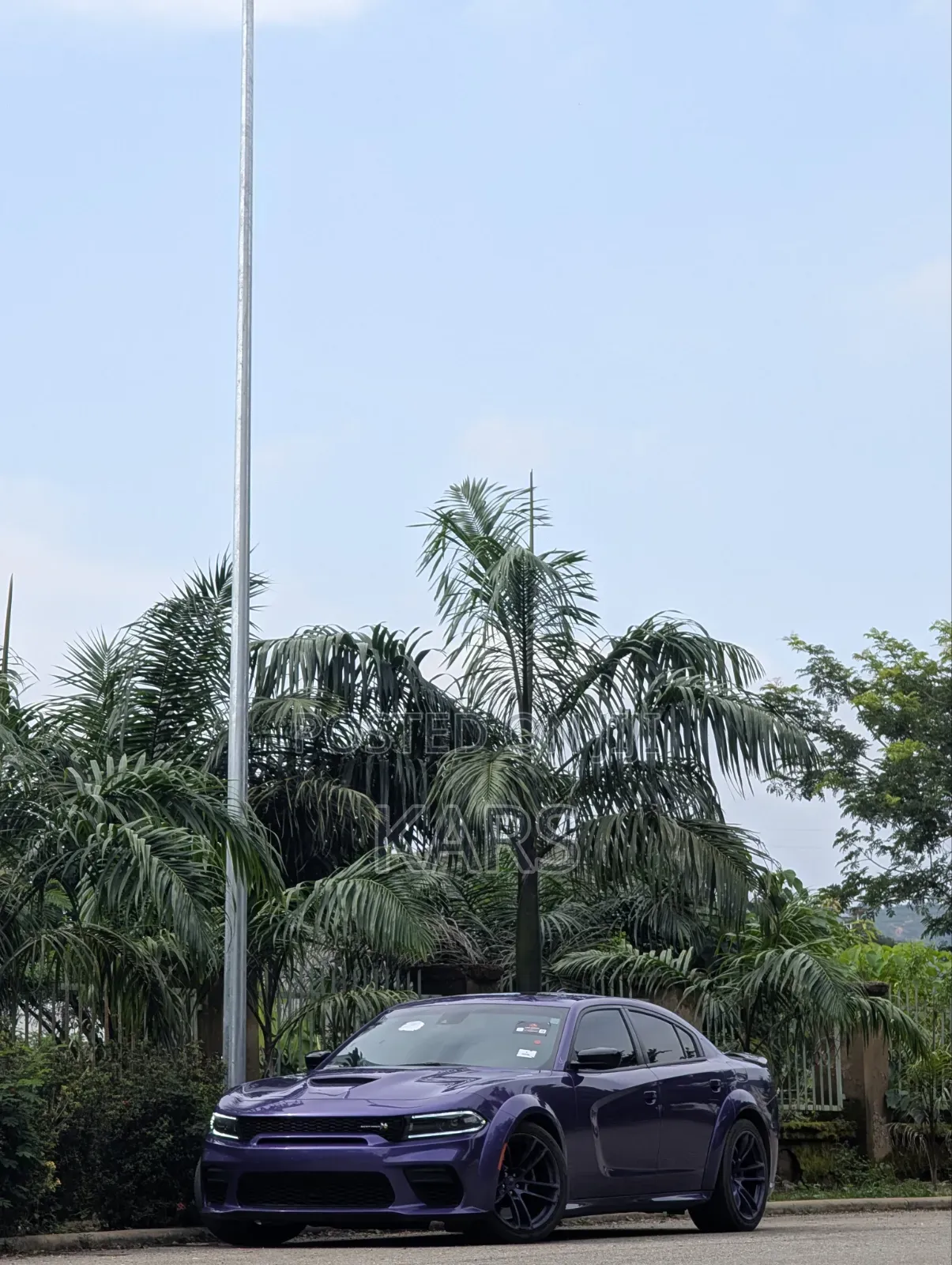Dodge Charger Daytona Scat Pack AWD 2024 Purple