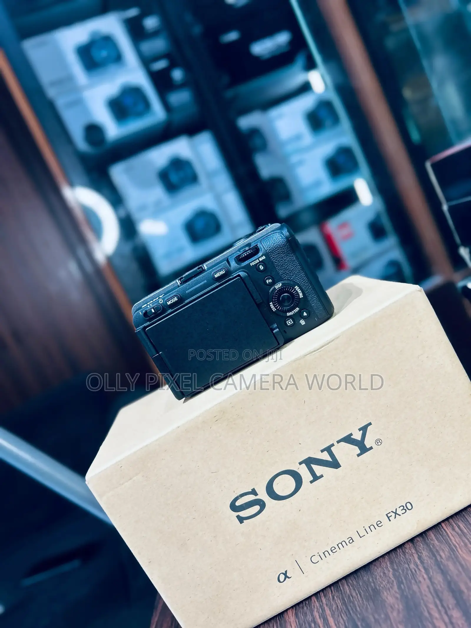 Sony Fx30 Cinematic