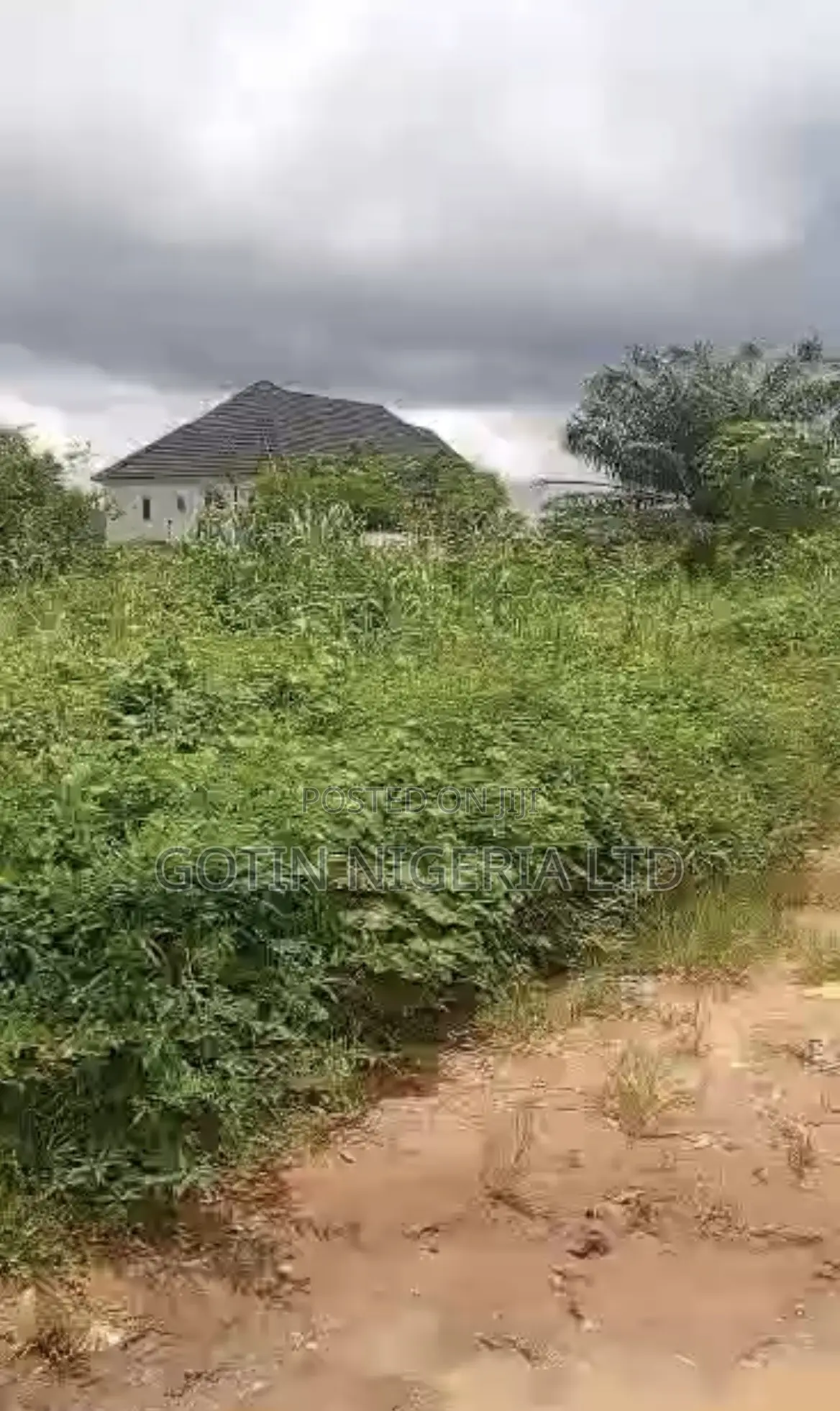 50×100ft C of O Land at Akenuwa, Sapele Road Bypass