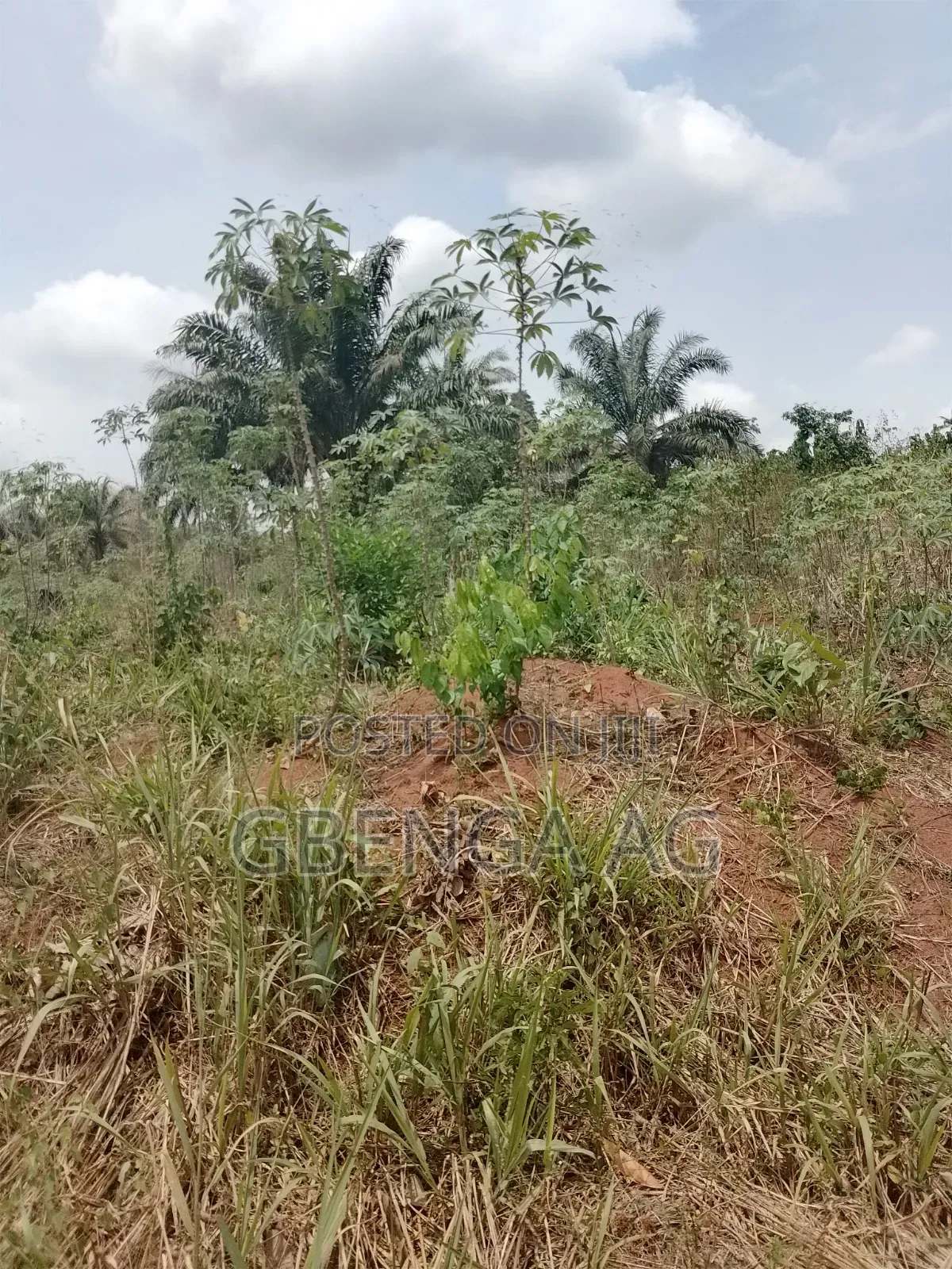 850 Acres of Land for Sale at Obafemi Town via Siun Ogun State