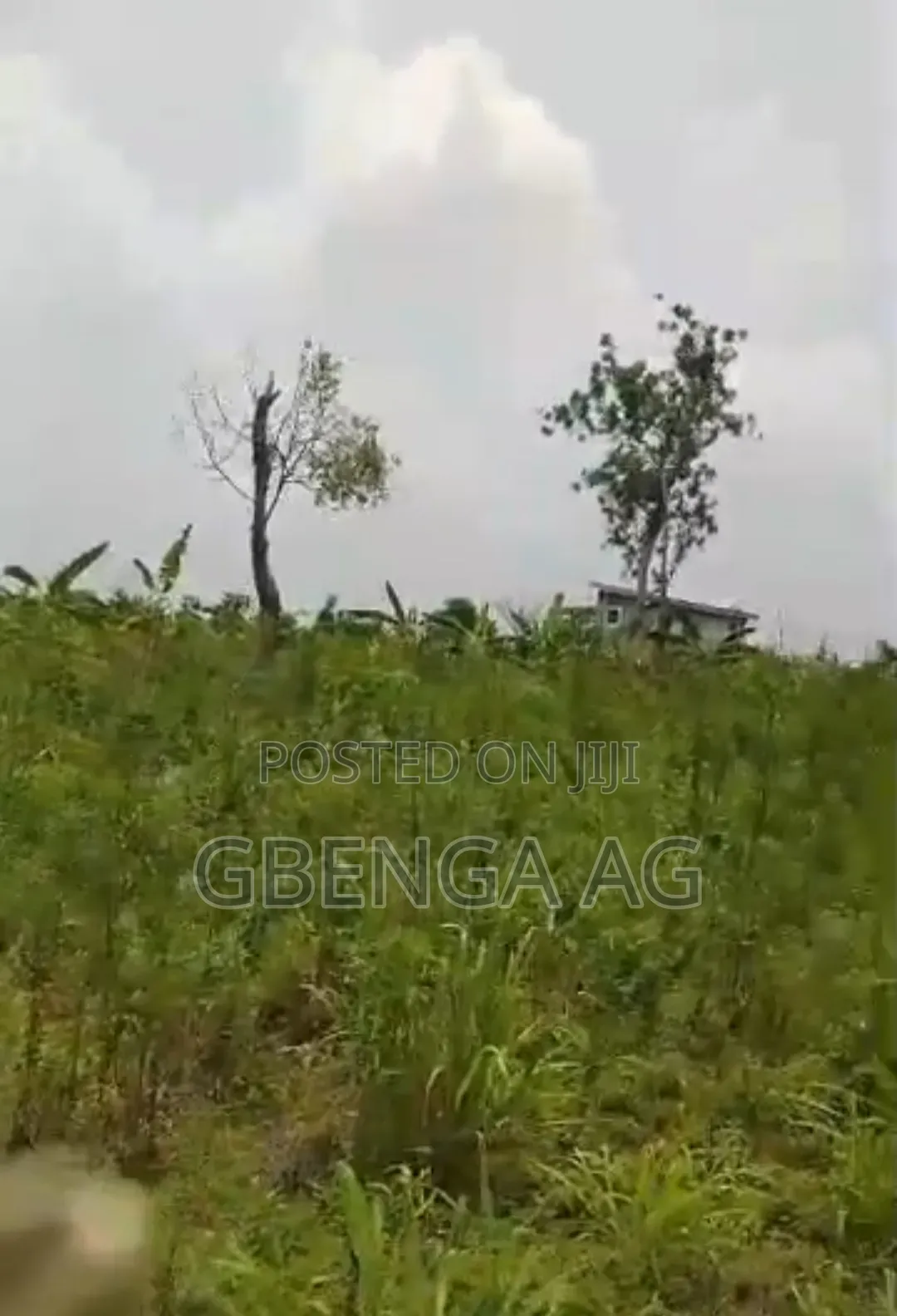 5 Acres of Land for Sale at Ayetoro Makun Off Lagos-Ibadan Express