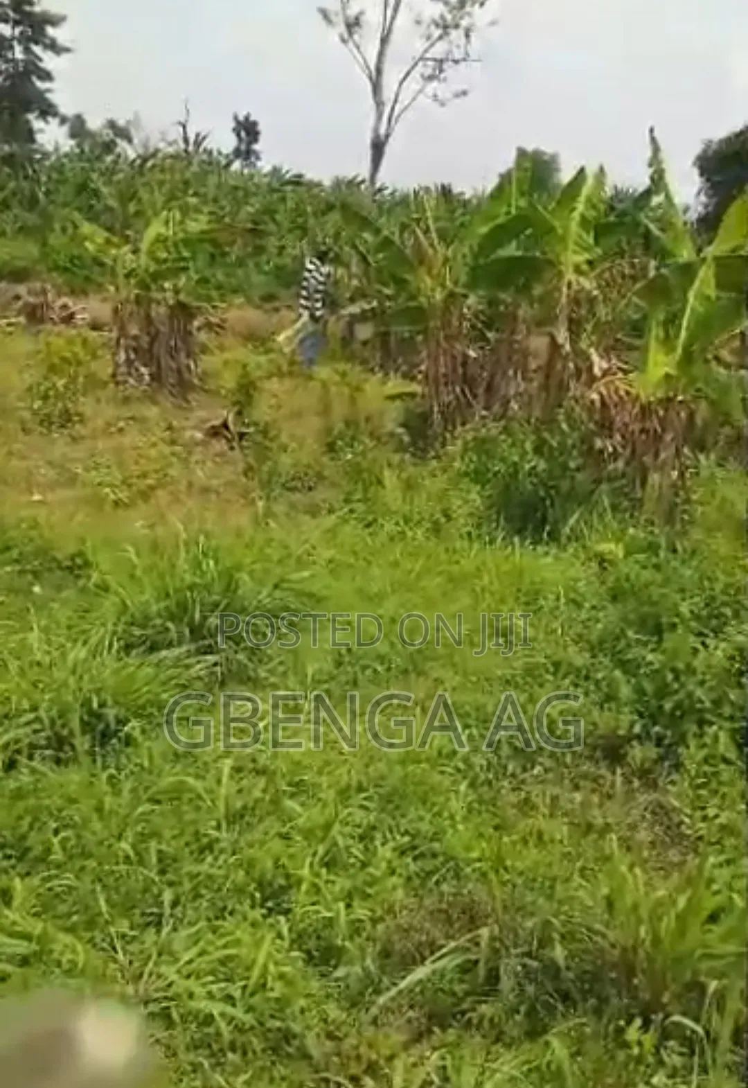 20 Acres of Land for Sale at Mowe via Christopher Uni