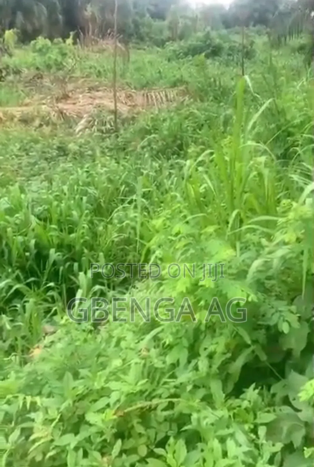 83 Hectares of Land for Sale at Imeko Afon