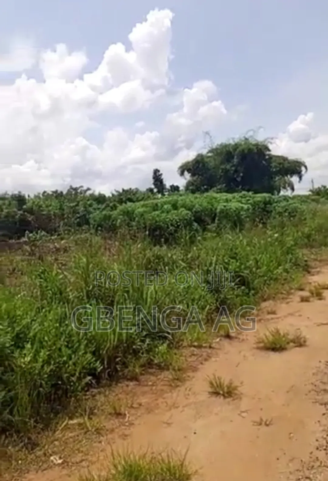 6,489 Acres for Sale at Owode Idi-Emi Yewa North Lga