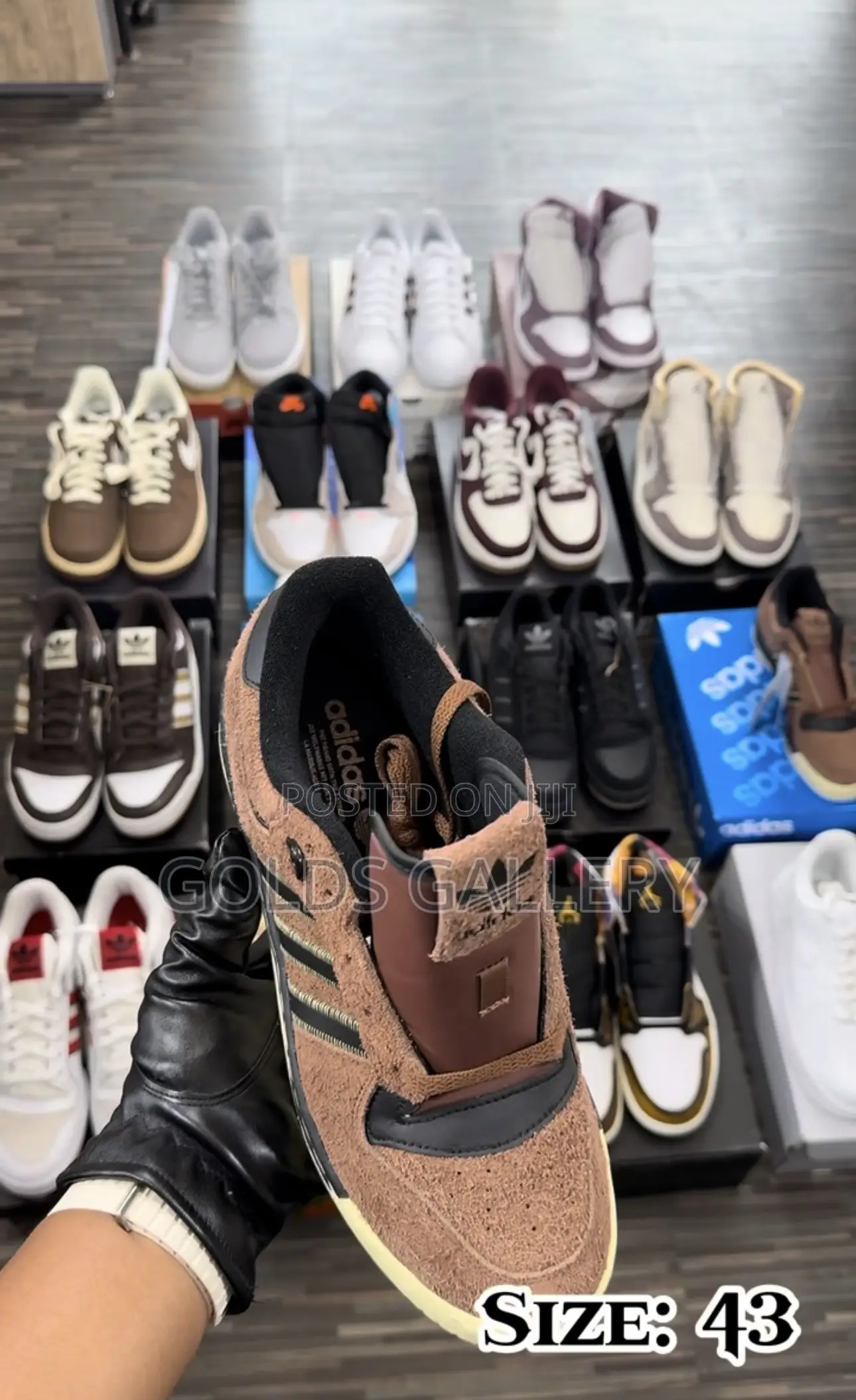 Rivalry 86 Low Shoes (US)