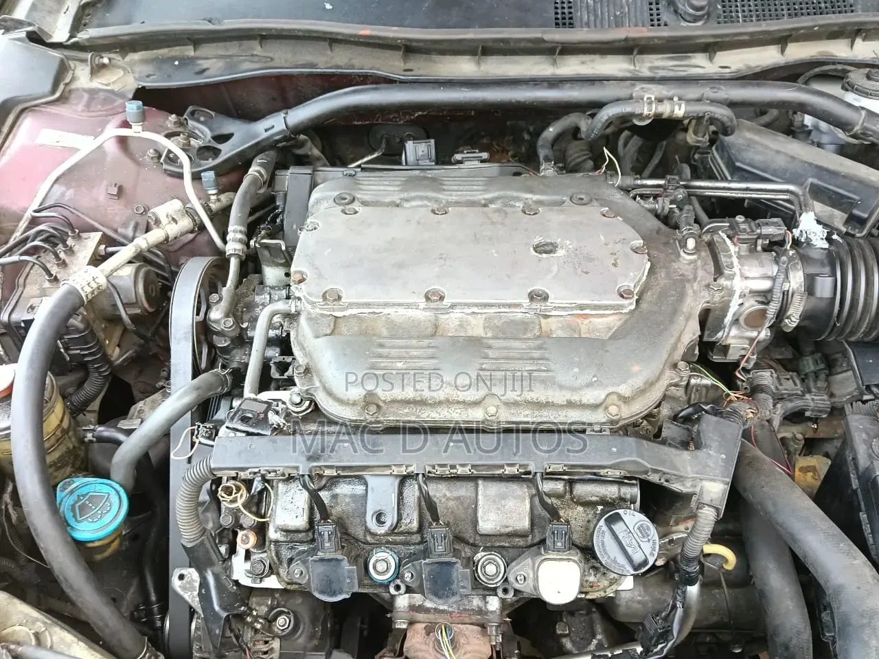 Honda Crosstour 2010 Red