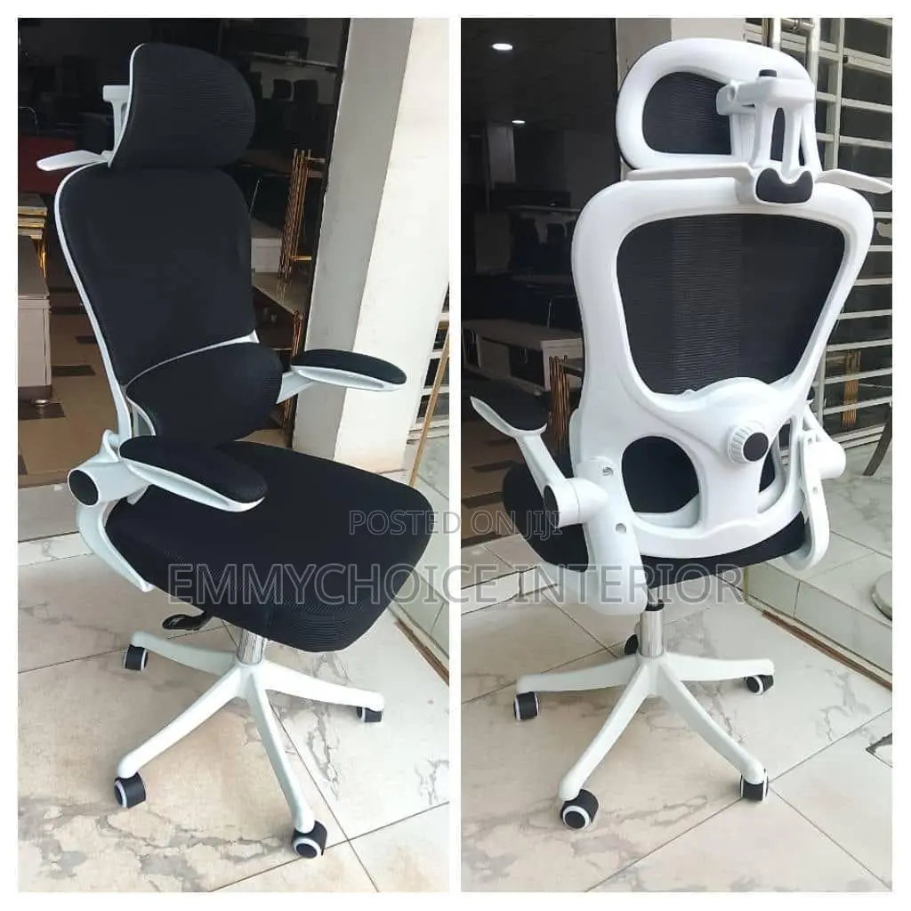 Luxury Ergonomic Office Chair