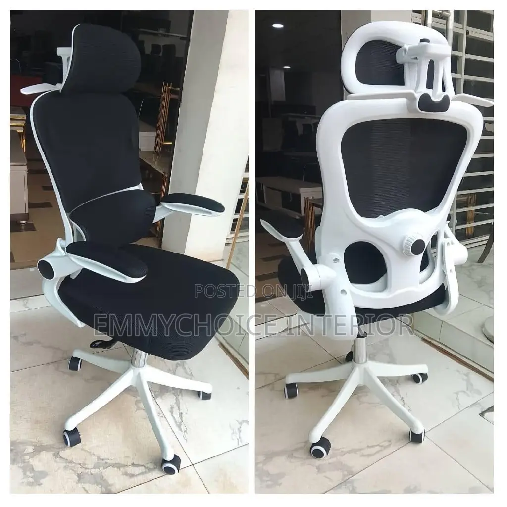 Luxury Ergonomic Office Chair