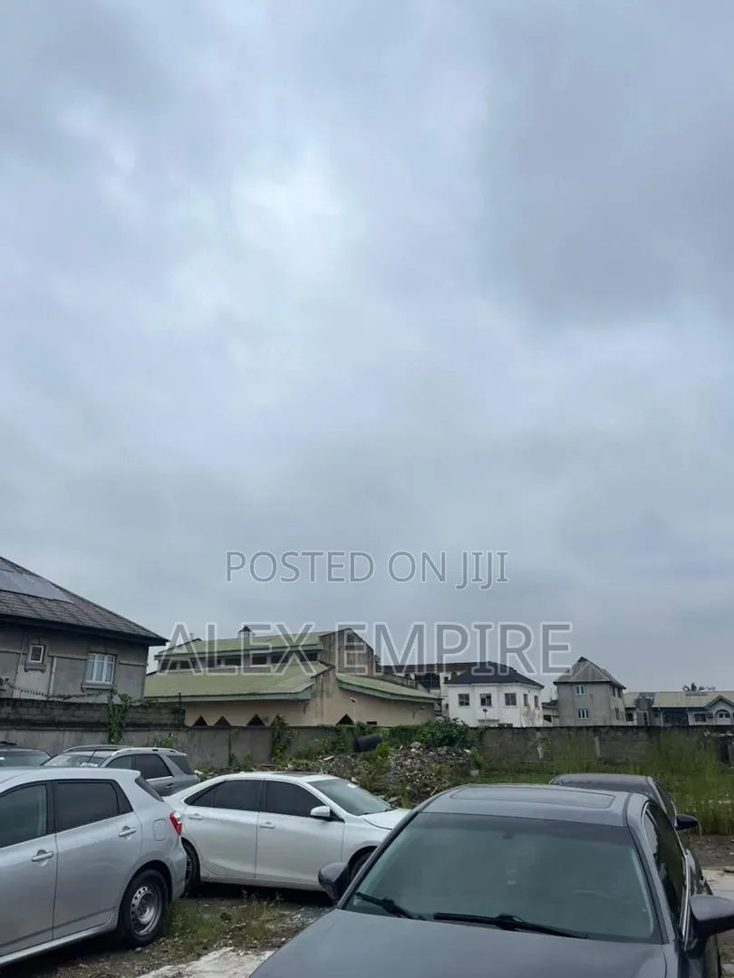 3 and the Half Plot of Land for Rent in Okota
