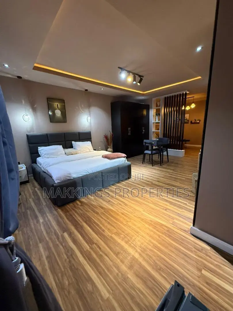 Furnished Mini Flat in Ikate for rent