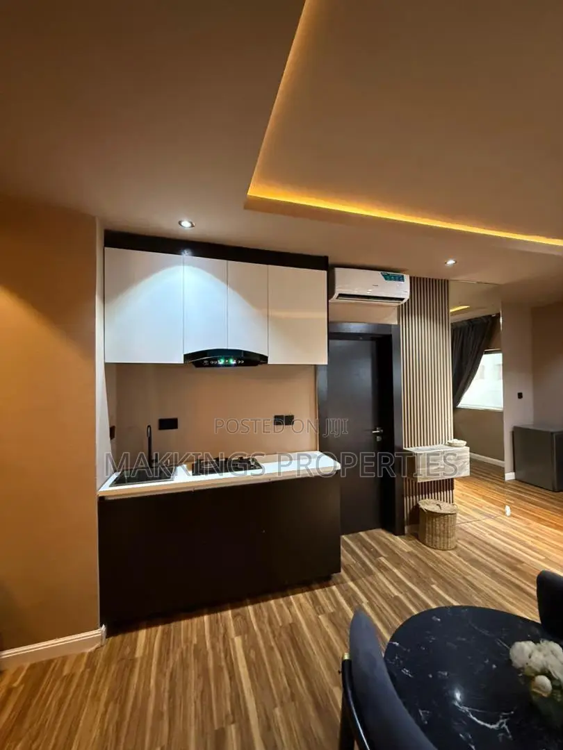 Furnished Mini Flat in Ikate for rent