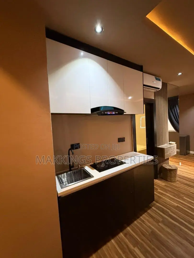 Furnished Mini Flat in Ikate for rent