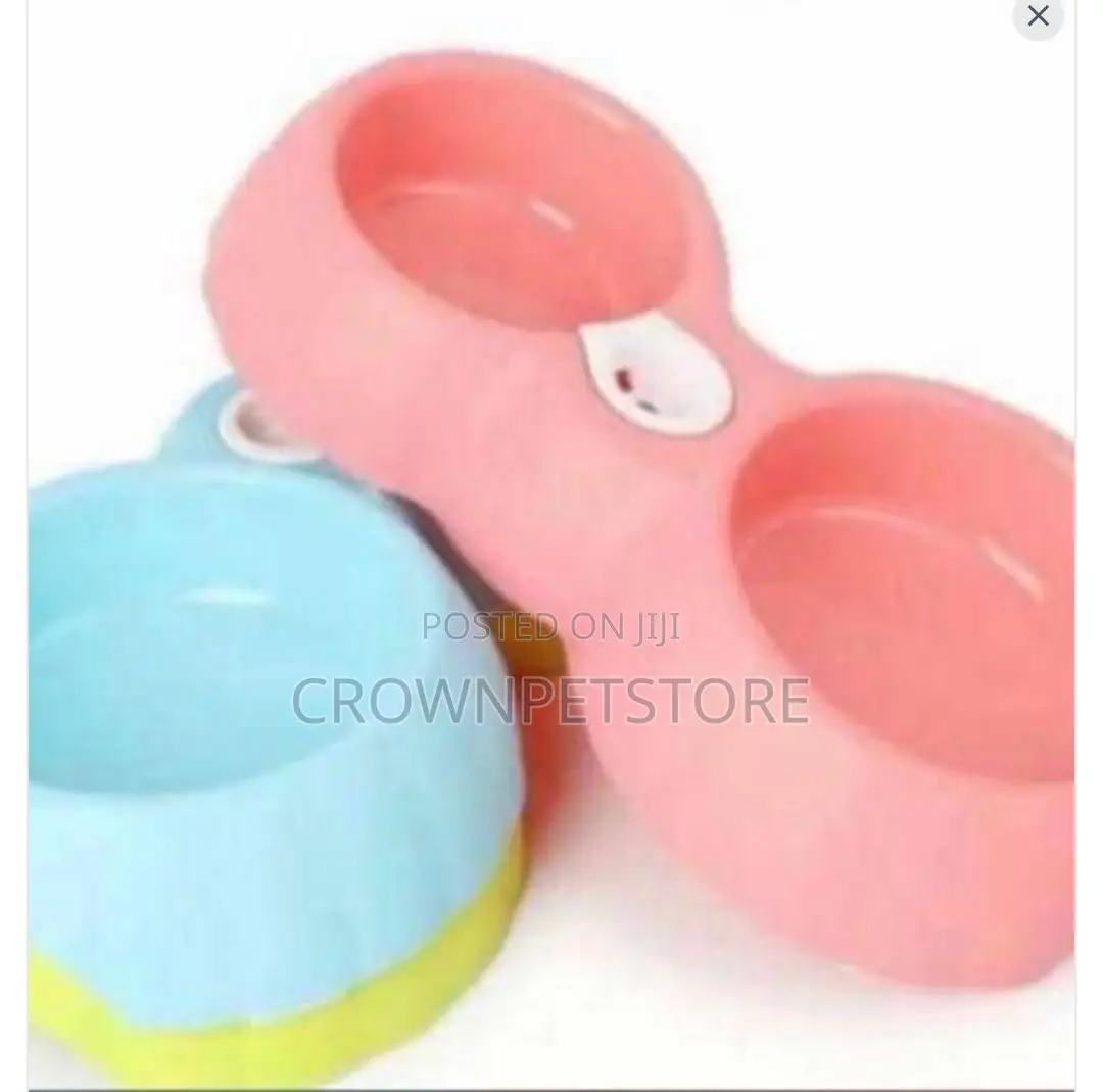 Dog and Cat Bowl