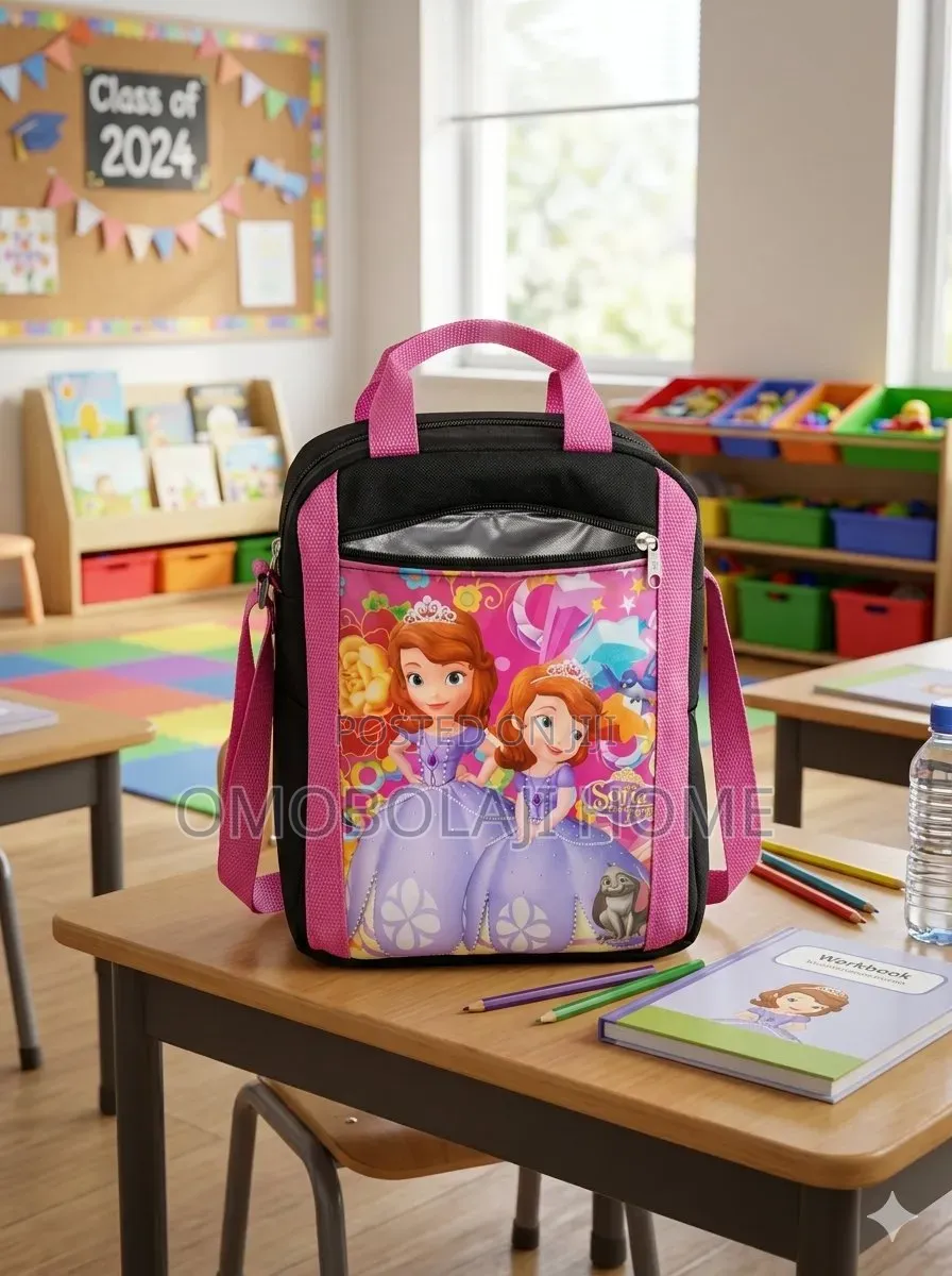 Premium Insulated School and Office Lunch Bag