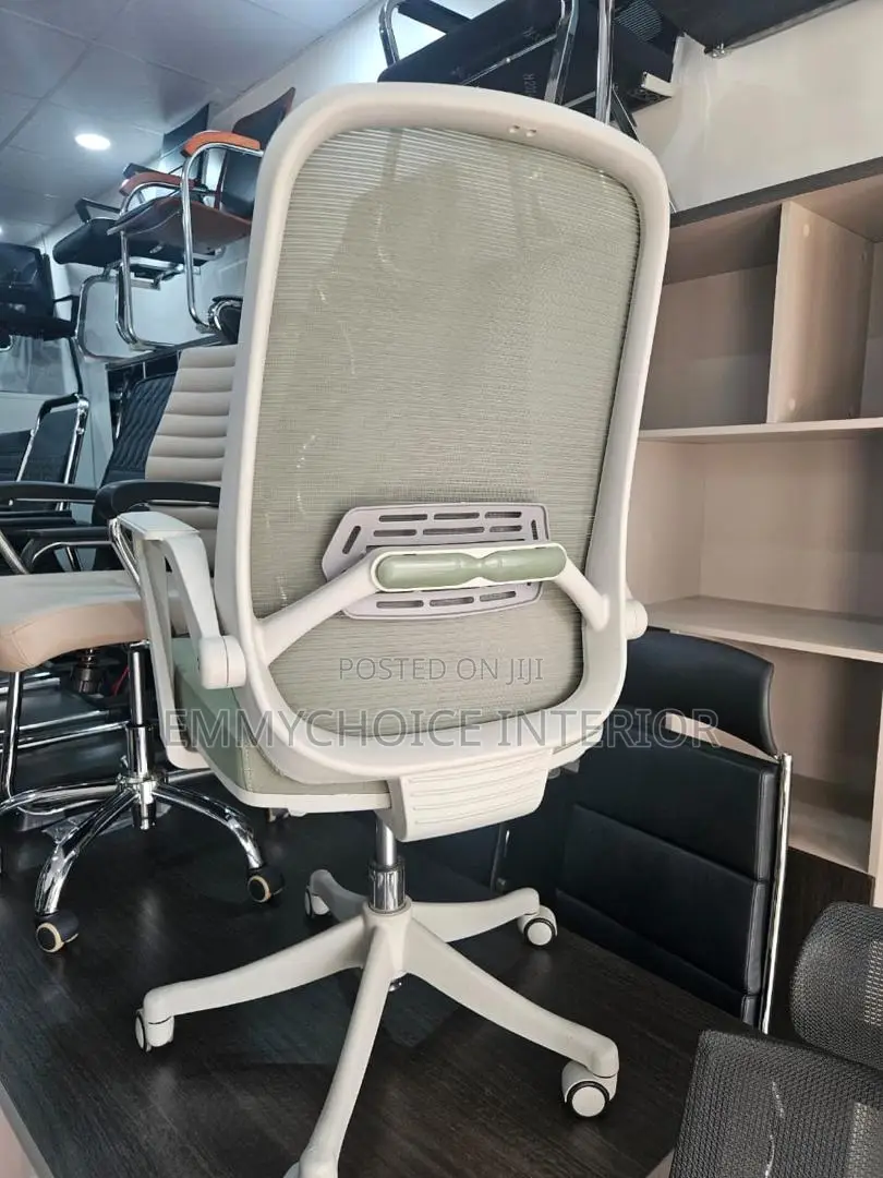 Ergonomic Mesh Office Chair