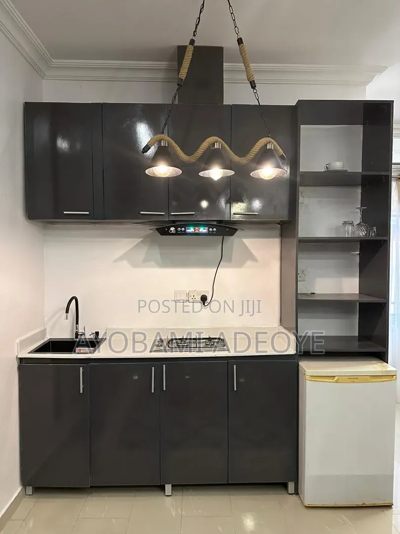 Furnished Mini Flat in Lekki Phase 1 for rent