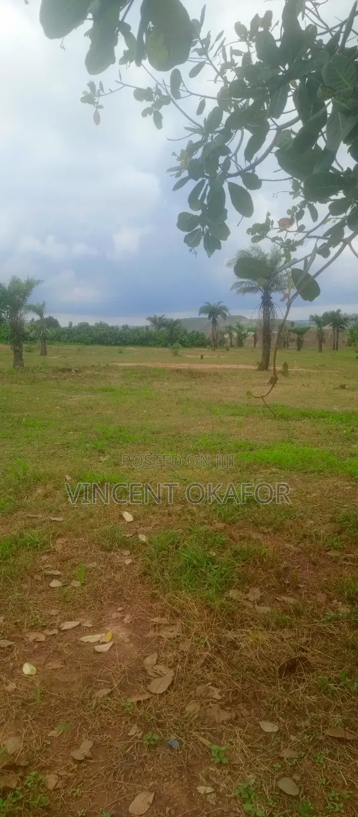 200sqm Is for 3 Bedroom Terrace Duplex