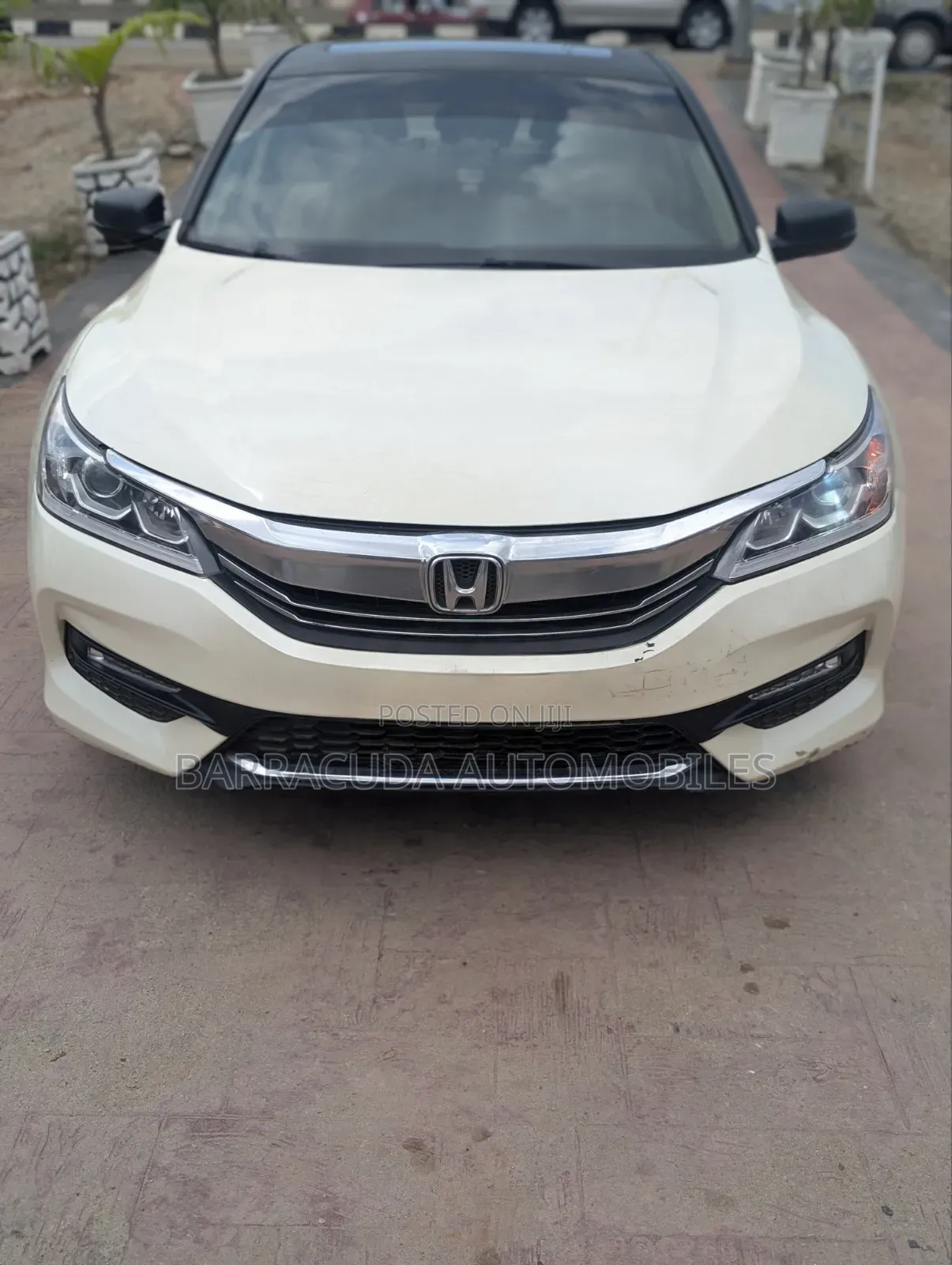 Honda Accord EX-L 4dr Sedan FWD (2.4L 4cyl 2A) 2013 White