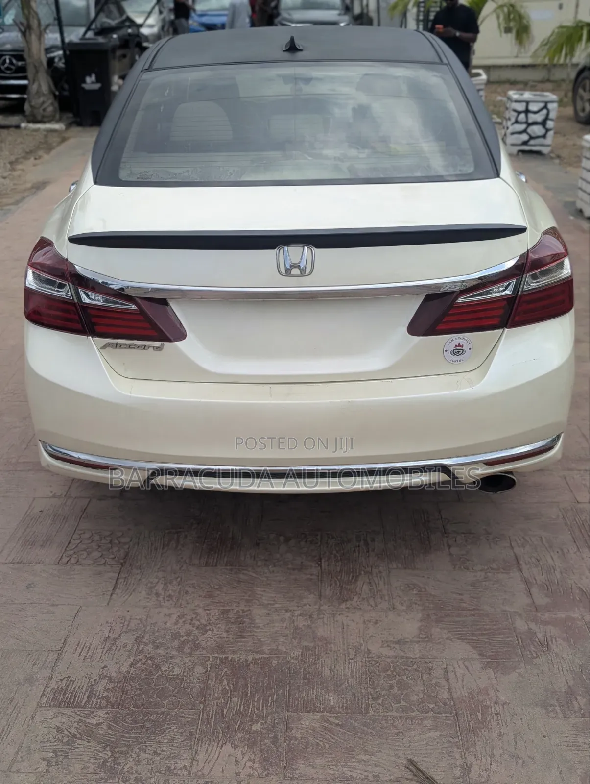 Honda Accord EX-L 4dr Sedan FWD (2.4L 4cyl 2A) 2013 White