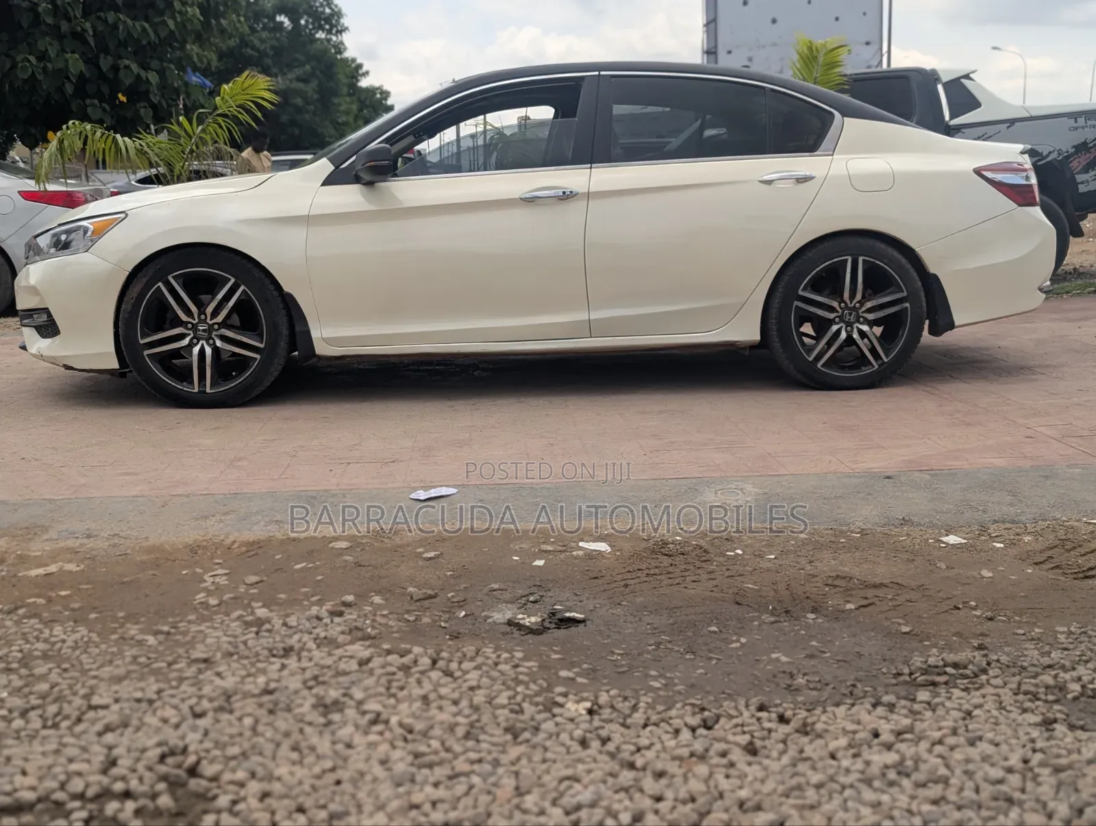 Honda Accord EX-L 4dr Sedan FWD (2.4L 4cyl 2A) 2013 White