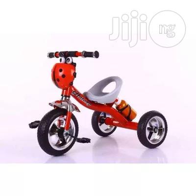 Tricycle for Kids With Water Bottle