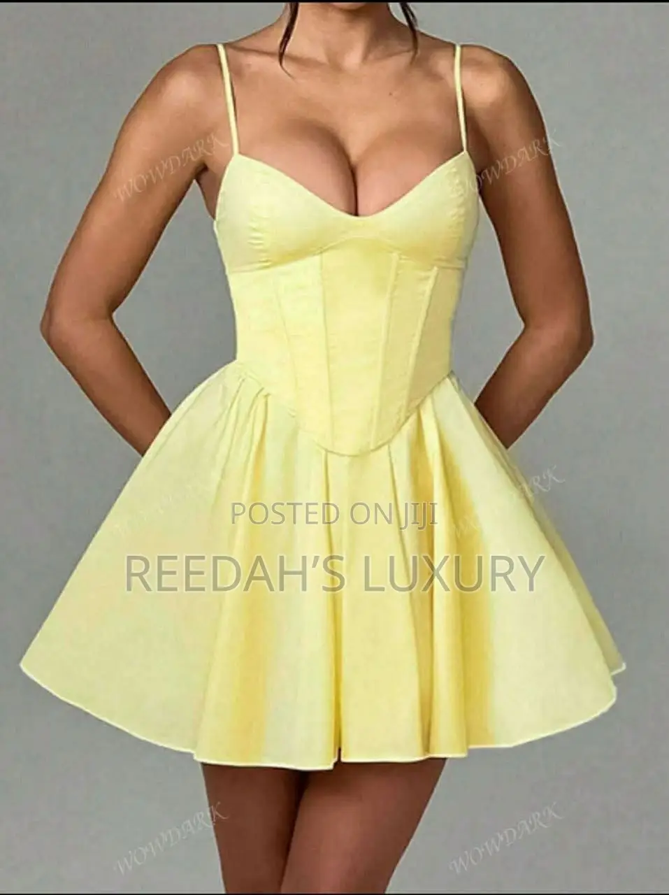 Sunshine Pleated Corset Mini Dress